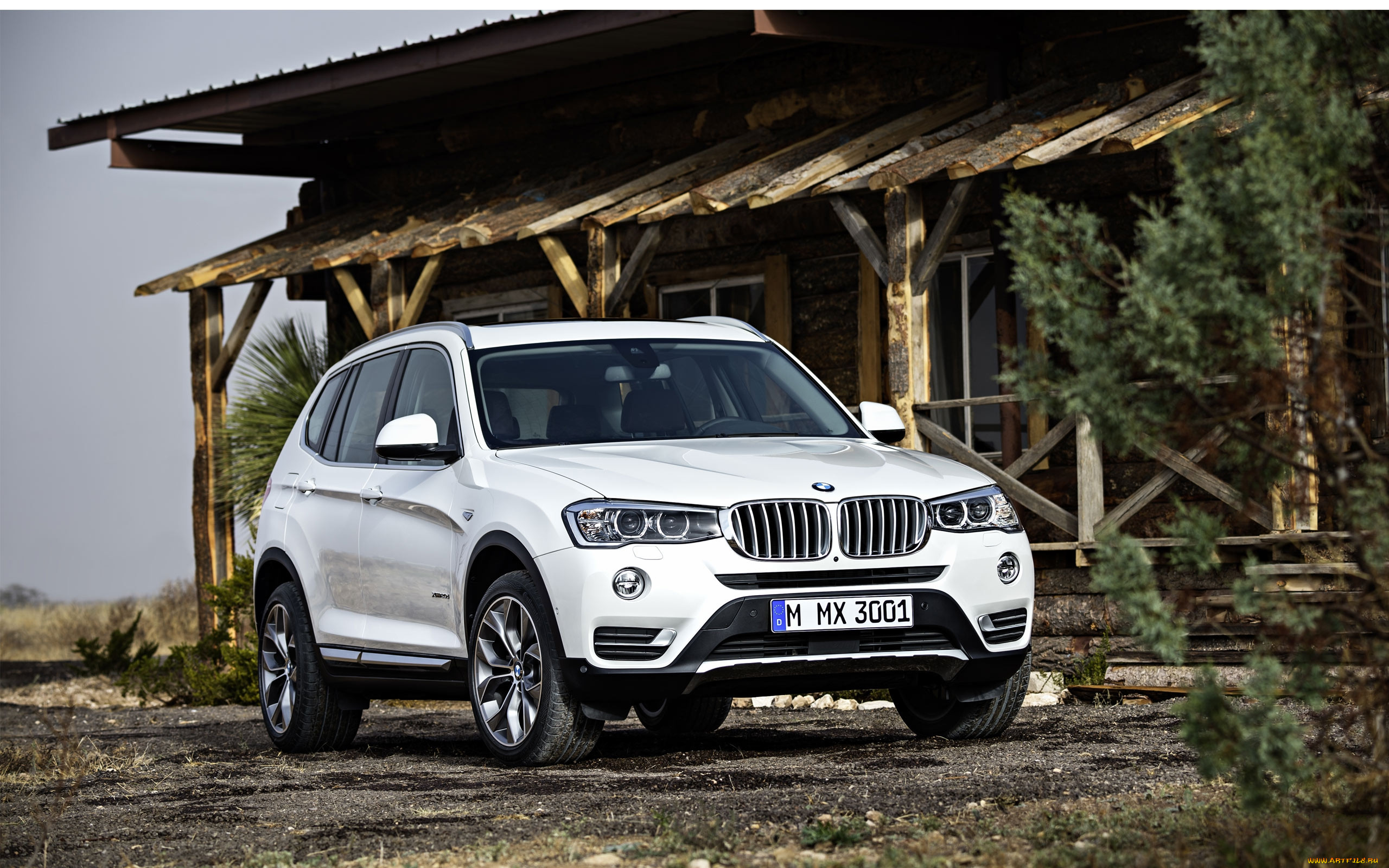 bmw x3 x line, , bmw, bayerische, , werke, ag, motoren, 